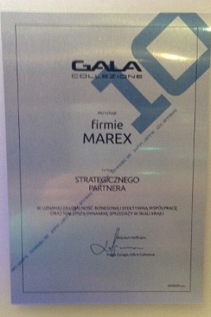 Nagroda - Strategiczny Partner